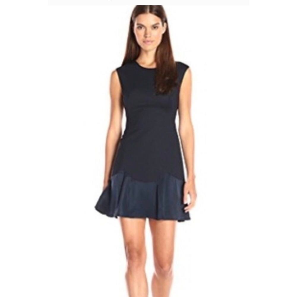 NWT $325 Rebecca Taylor 2 XS Stacy Textured Fit & Flounce Dress